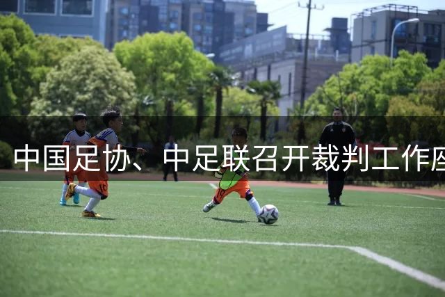 中国足协、中足联召开裁判工作座谈会和足球专业人士座谈会