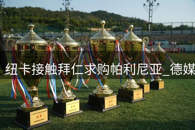纽卡接触拜仁求购帕利尼亚 德媒曝德甲豪门只愿直接出售